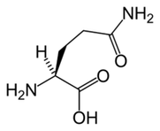 Keto Diet တွင် L-glutamine